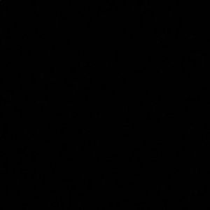 Meet your Posher, Hailee